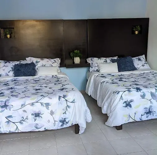 Playa Suites Hotel