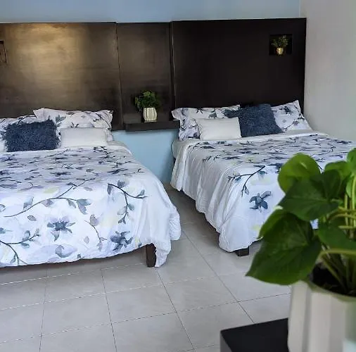 Hotel Playa Suites